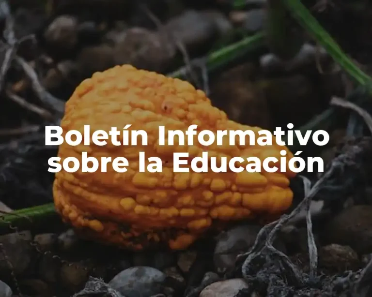 Boletín Informativo sobre la Educación