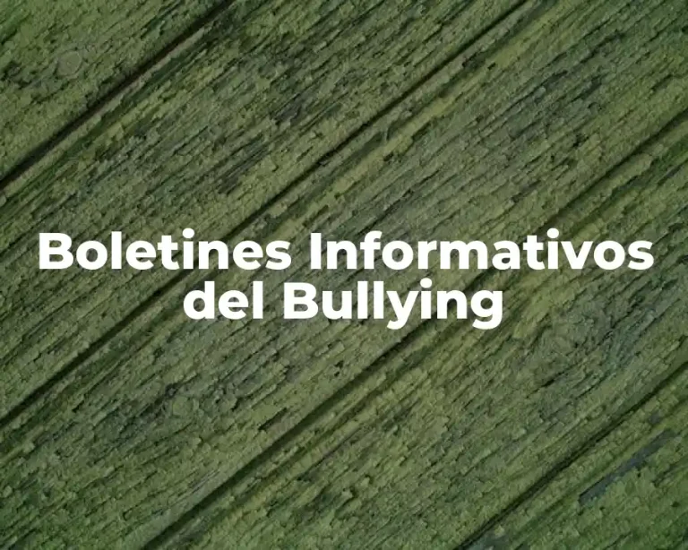 Boletines Informativos del Bullying