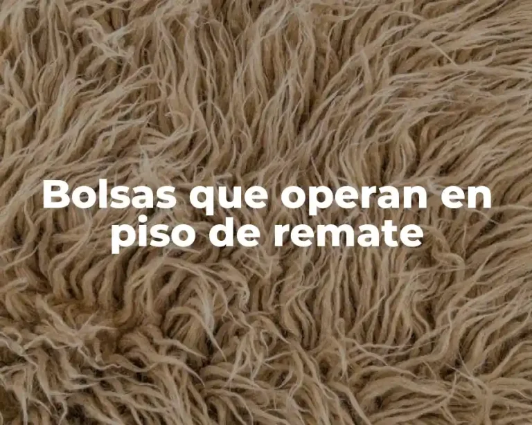 Bolsas que operan en piso de remate
