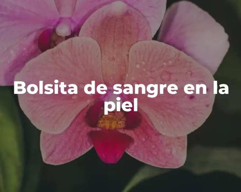 Bolsita de sangre en la piel