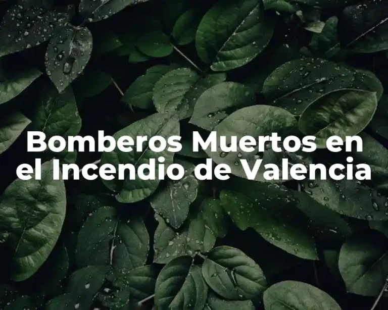Bomberos Muertos en el Incendio de Valencia