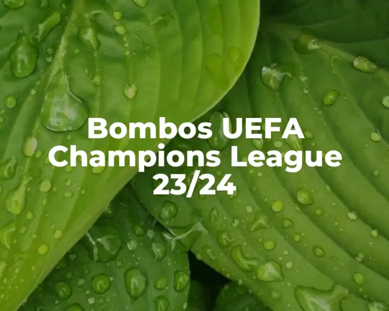 Bombos UEFA Champions League 23/24