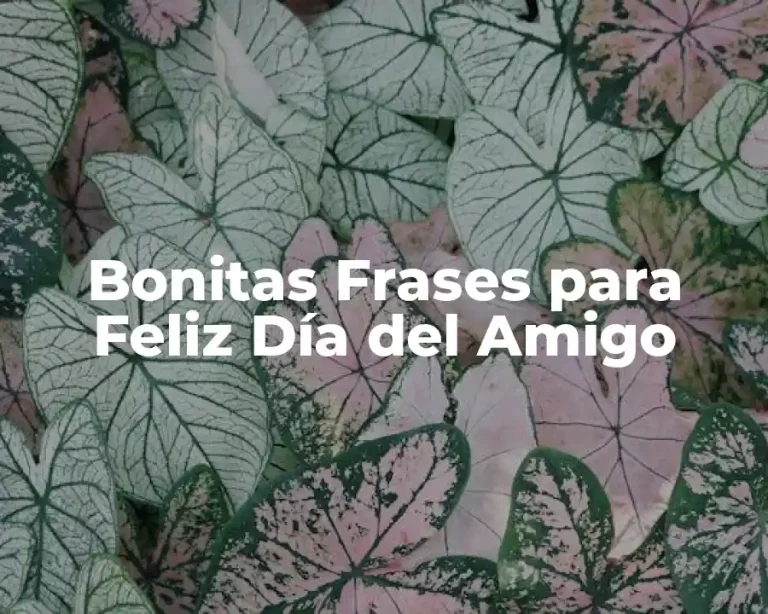 Bonitas Frases para Feliz Día del Amigo