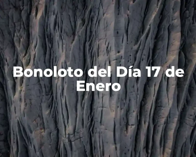 Bonoloto del Día 17 de Enero
