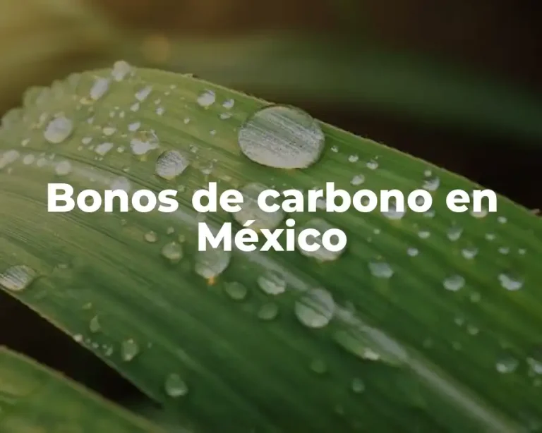 Bonos de carbono en México