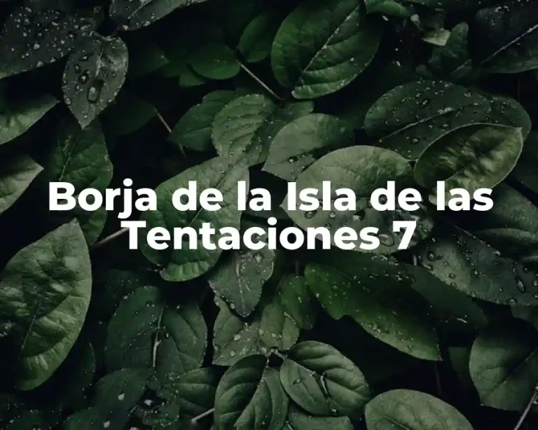 Borja de la Isla de las Tentaciones 7