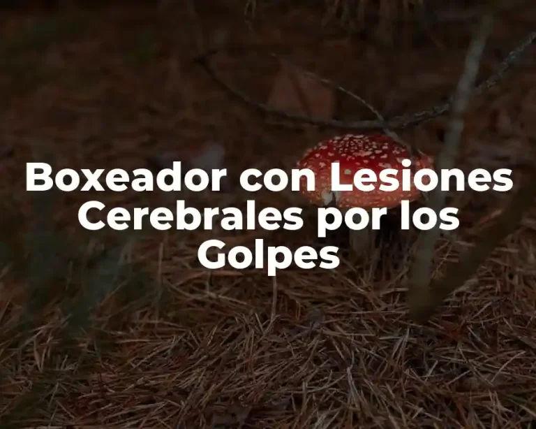 Boxeador con Lesiones Cerebrales por los Golpes