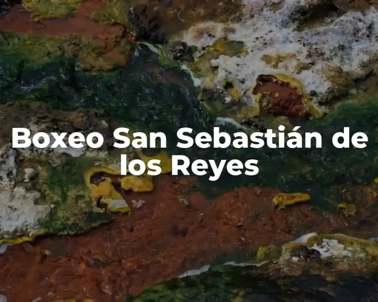 Boxeo San Sebastián de los Reyes