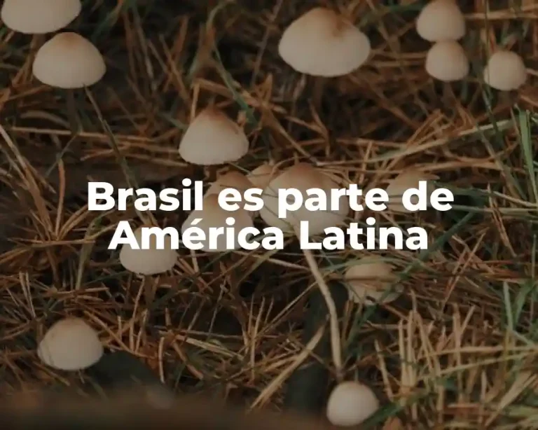 Brasil es parte de América Latina