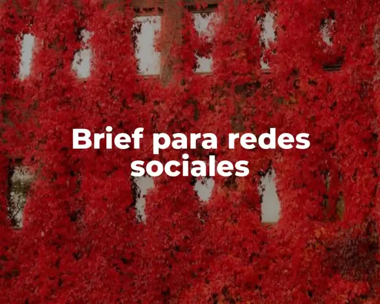 Brief para redes sociales