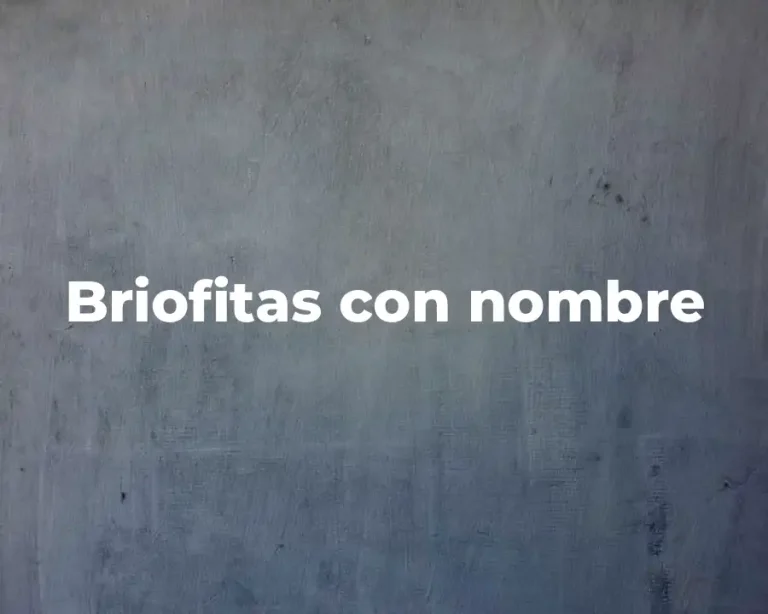 Briofitas con nombre