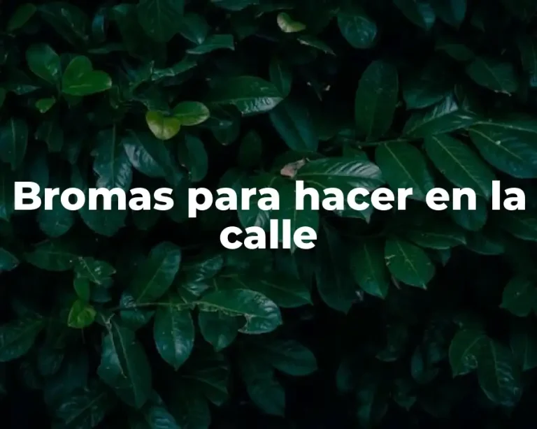 Bromas para hacer en la calle