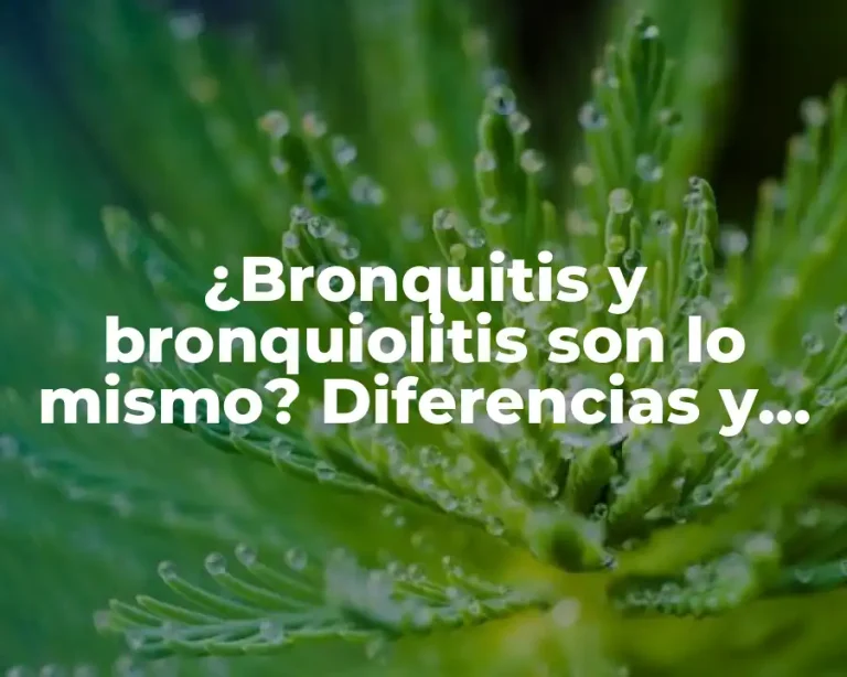 ¿Bronquitis y bronquiolitis son lo mismo? Diferencias y similitudes