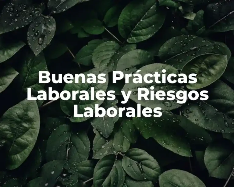 Buenas Prácticas Laborales y Riesgos Laborales