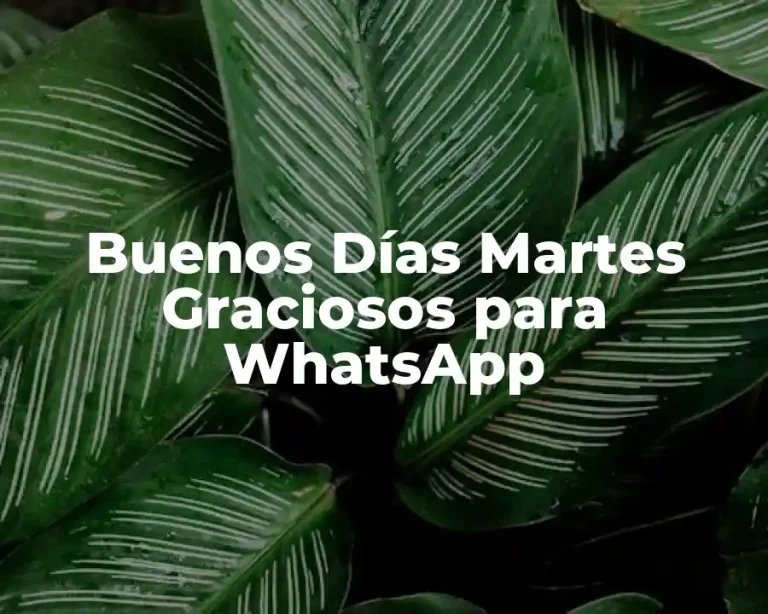 Buenos Días Martes Graciosos para WhatsApp