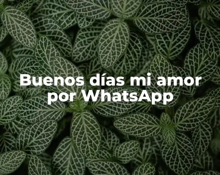 Buenos días mi amor por WhatsApp