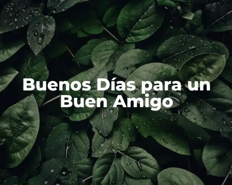 Buenos Días para un Buen Amigo