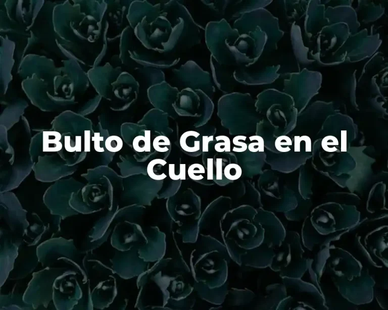 Bulto de Grasa en el Cuello