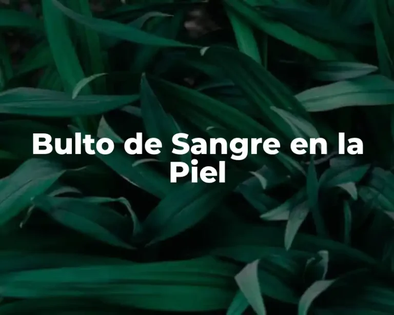 Bulto de Sangre en la Piel