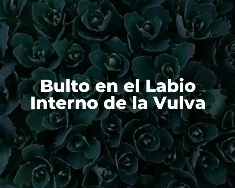 Bulto en el Labio Interno de la Vulva