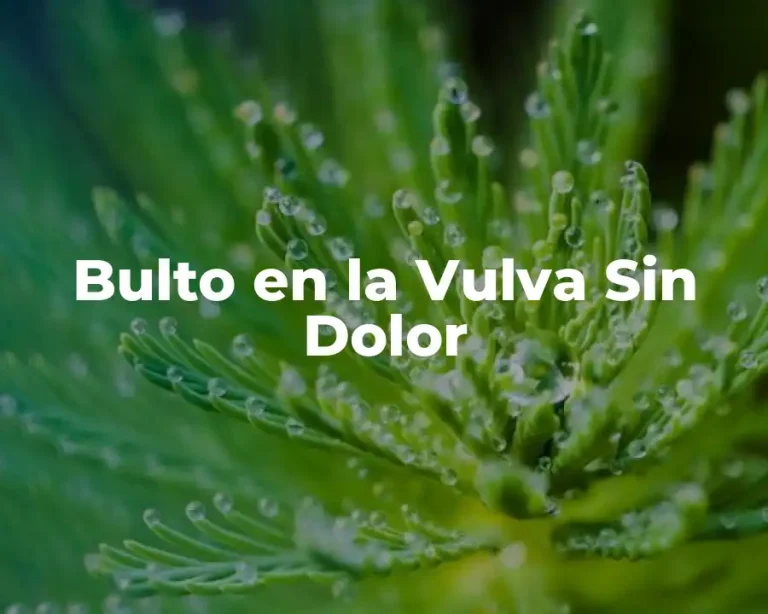 Bulto en la Vulva Sin Dolor