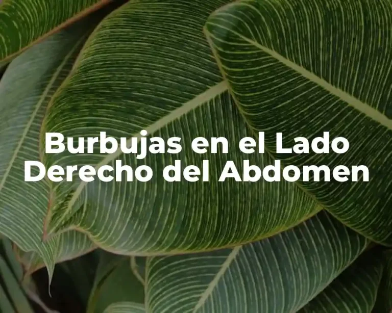 Burbujas en el Lado Derecho del Abdomen