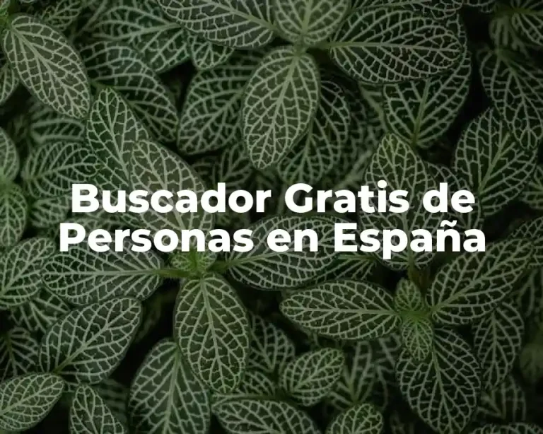 Buscador Gratis de Personas en España