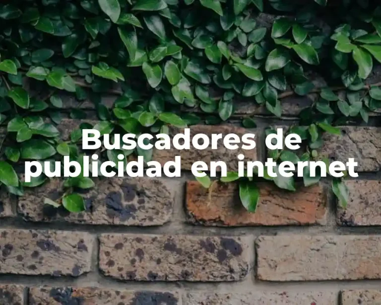 Buscadores de publicidad en internet