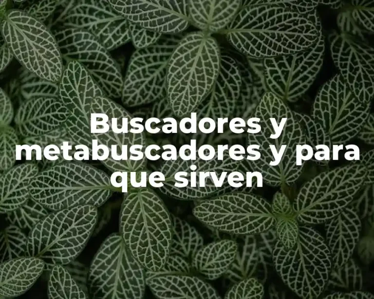 Buscadores y metabuscadores y para que sirven