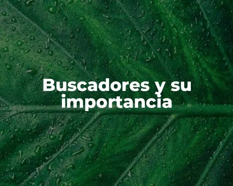 Buscadores y su importancia