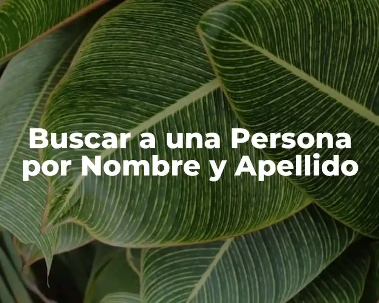 Buscar a una Persona por Nombre y Apellido