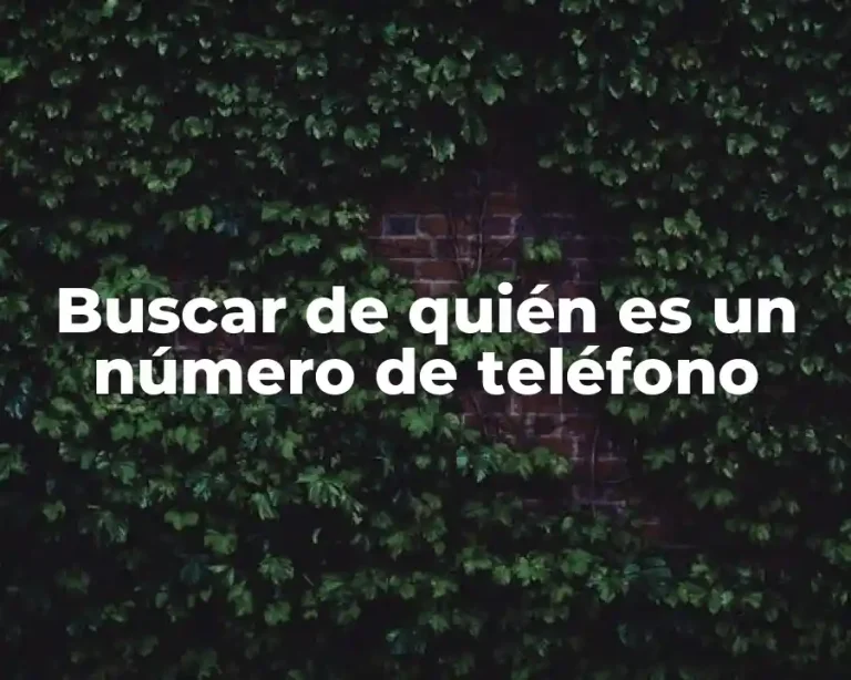 Buscar de quién es un número de teléfono