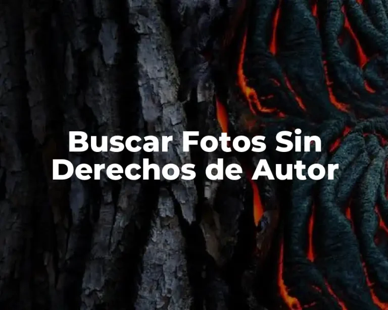 Buscar Fotos Sin Derechos de Autor