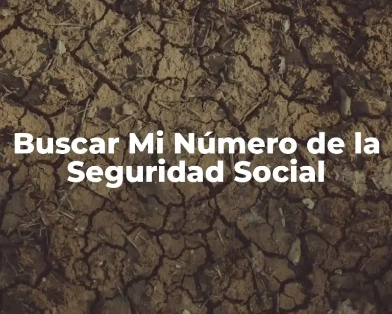 Buscar Mi Número de la Seguridad Social