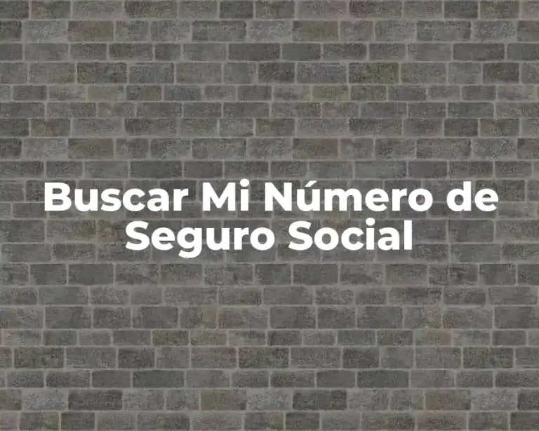 Buscar Mi Número de Seguro Social