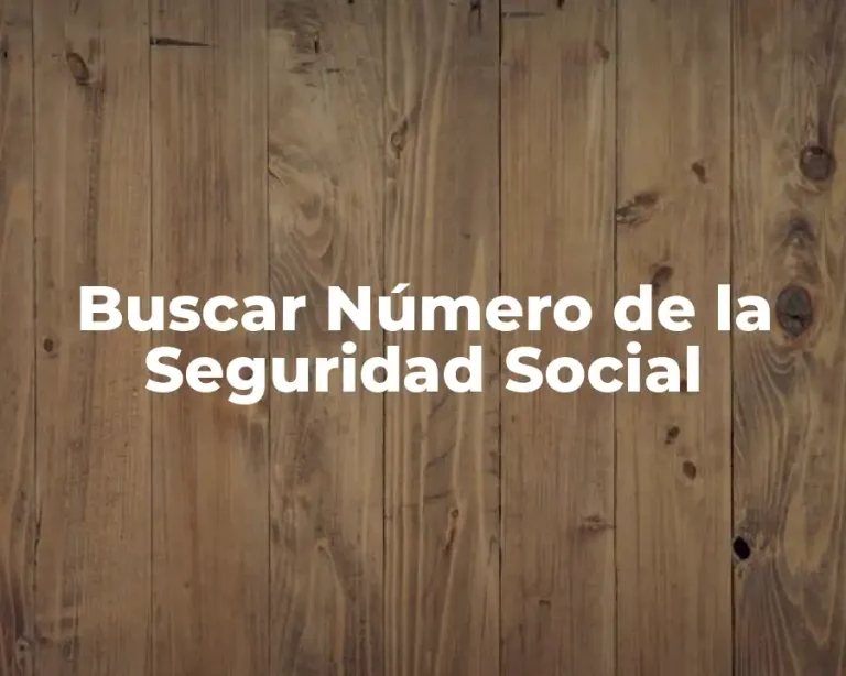 Buscar Número de la Seguridad Social