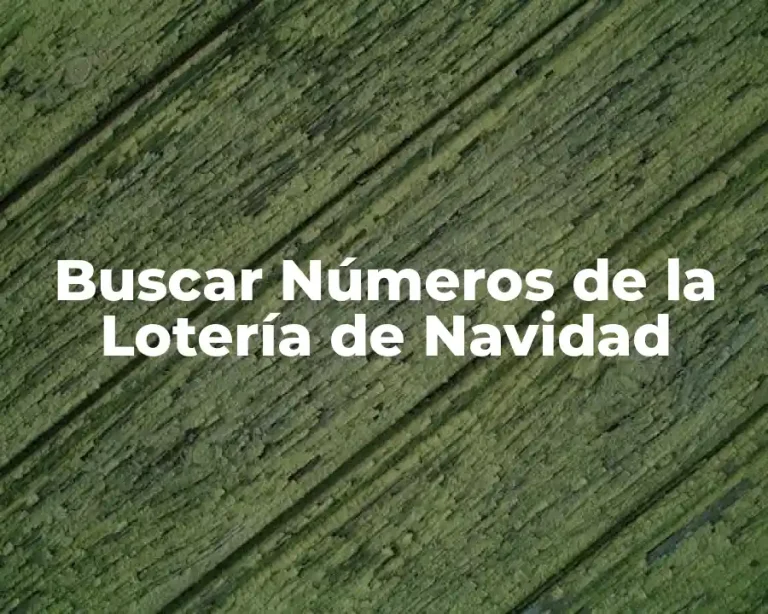 Buscar Números de la Lotería de Navidad