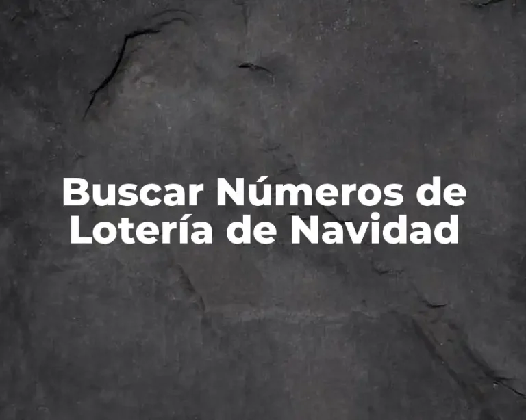 Buscar Números de Lotería de Navidad