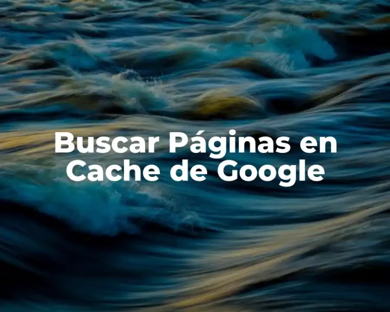 Buscar Páginas en Cache de Google