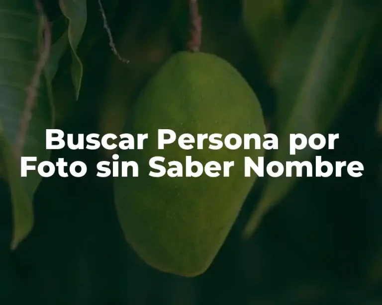 Buscar Persona por Foto sin Saber Nombre
