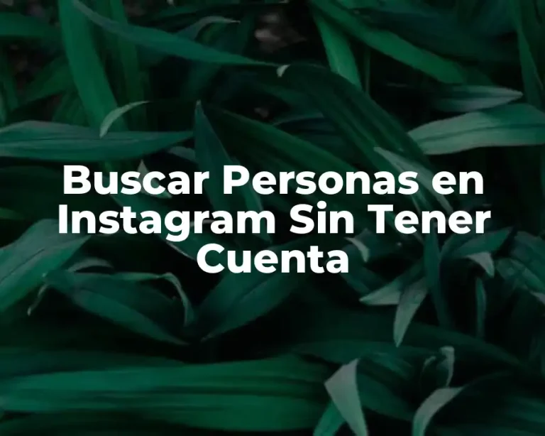 Buscar Personas en Instagram Sin Tener Cuenta