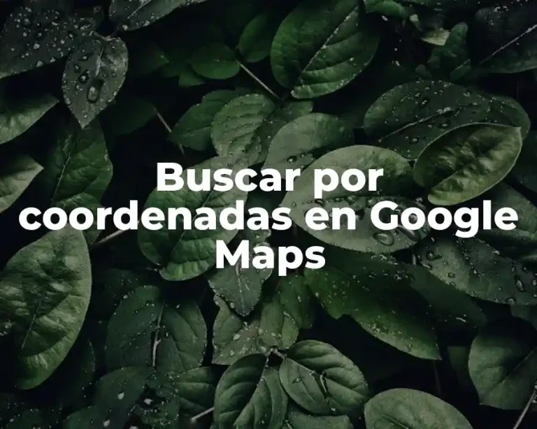 Buscar por coordenadas en Google Maps