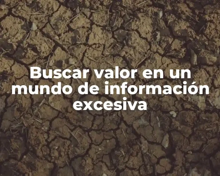 Buscar valor en un mundo de información excesiva