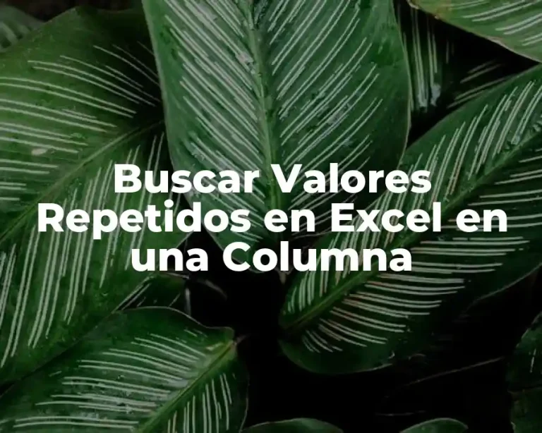 Buscar Valores Repetidos en Excel en una Columna