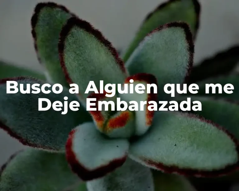 Busco a Alguien que me Deje Embarazada