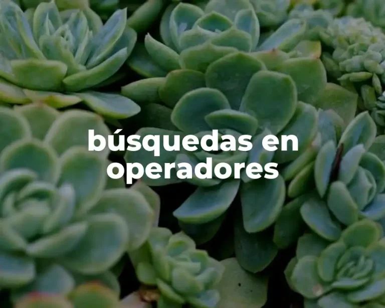 búsquedas en operadores