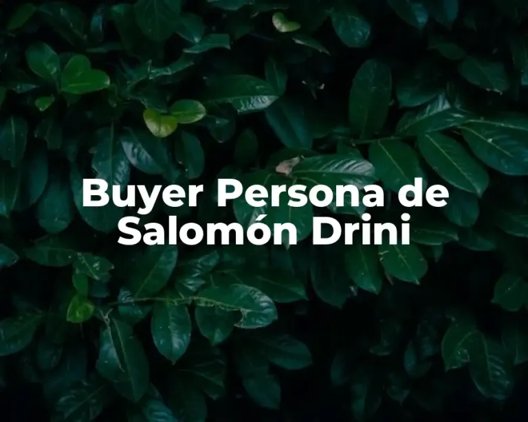 Buyer Persona de Salomón Drini