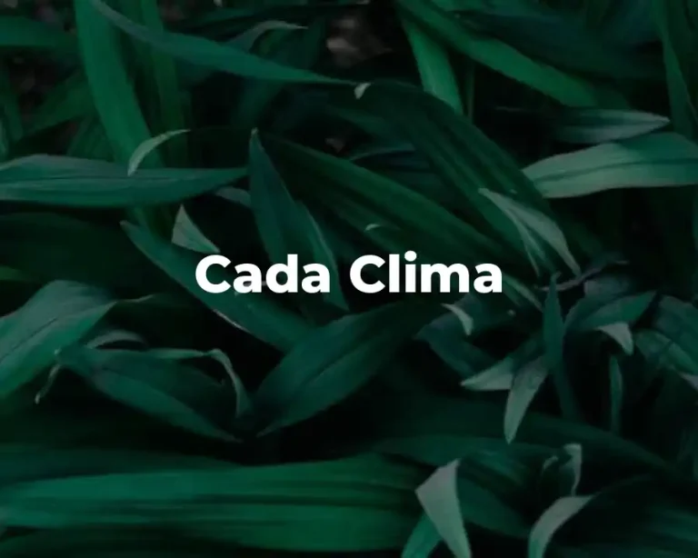 Cada Clima