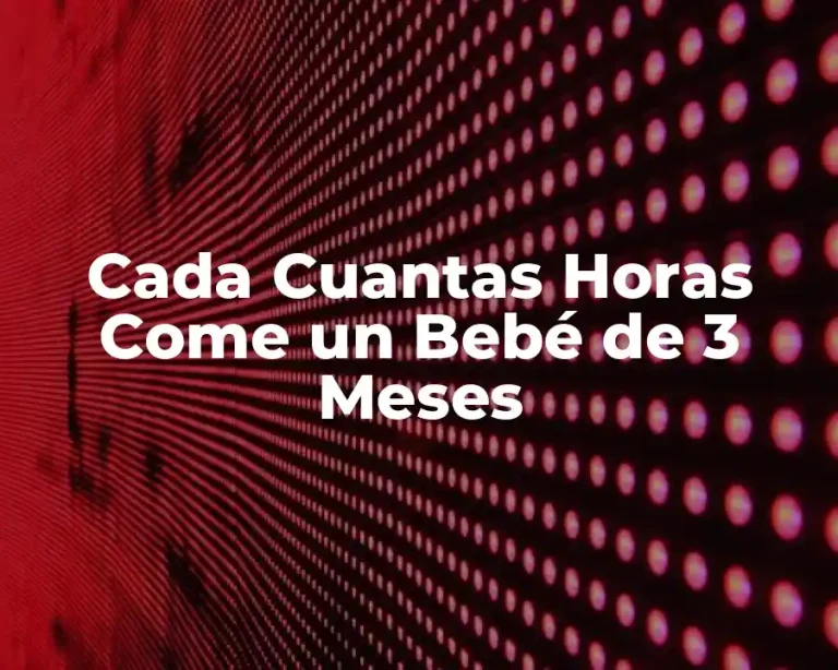 Cada Cuantas Horas Come un Bebé de 3 Meses
