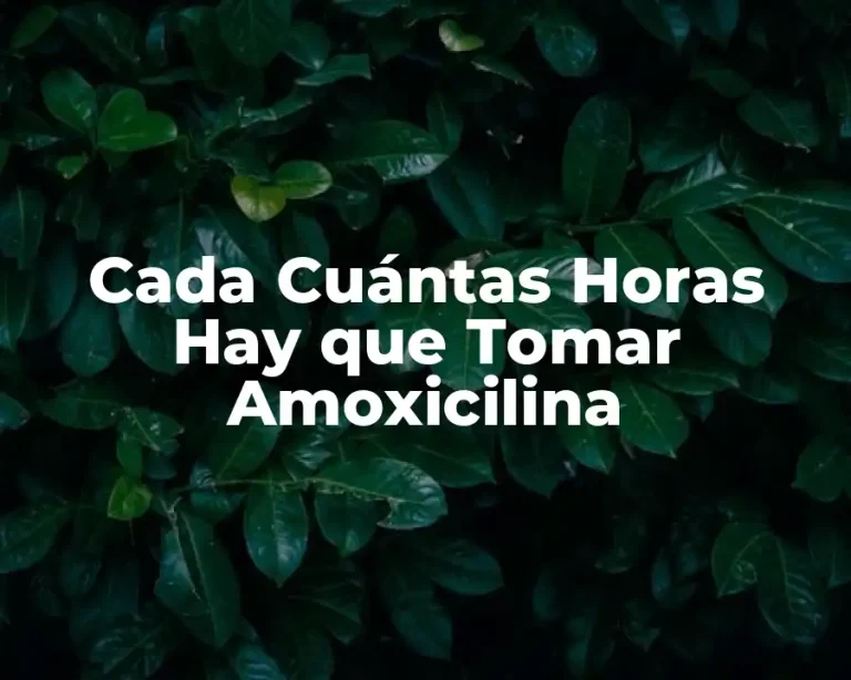 Cada Cuántas Horas Hay que Tomar Amoxicilina